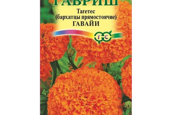 Ссылка на кракен даркнет