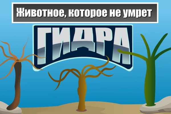 Kra41.at