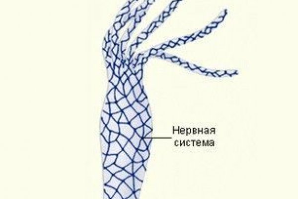 Кракен маркет даркнет только через тор