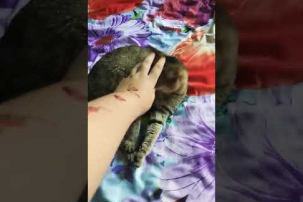 Кракен даркнет отзывы