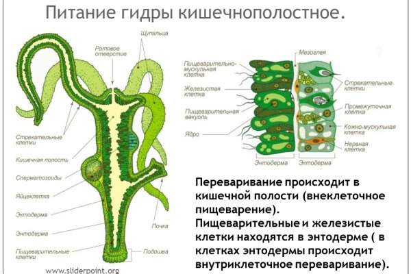 Craken что это