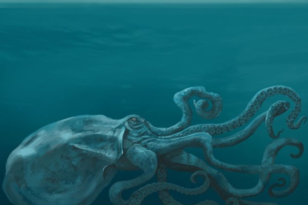 Kraken даркнет рынок ссылка