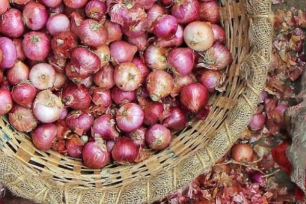 Кракен онион ссылка на тор