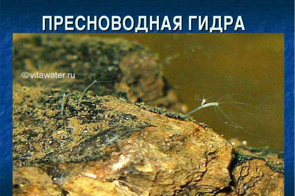 Кракен маркетплейс krk market com